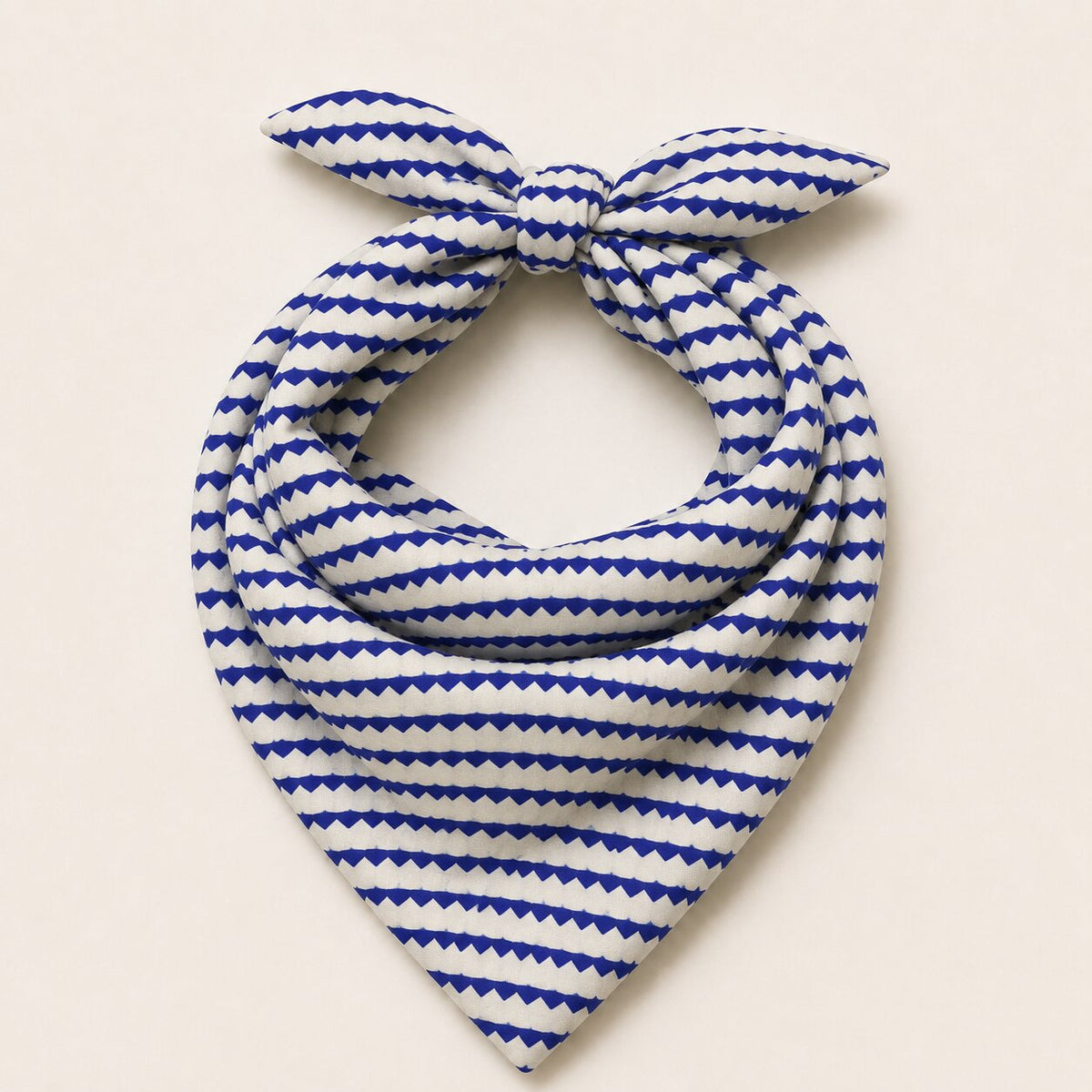 Polka Dot & Blue ( Set OF 2 )